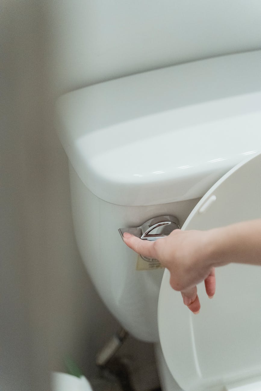 hand flushing toilet